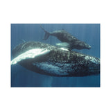 Side by Side — Fine Art Postcard