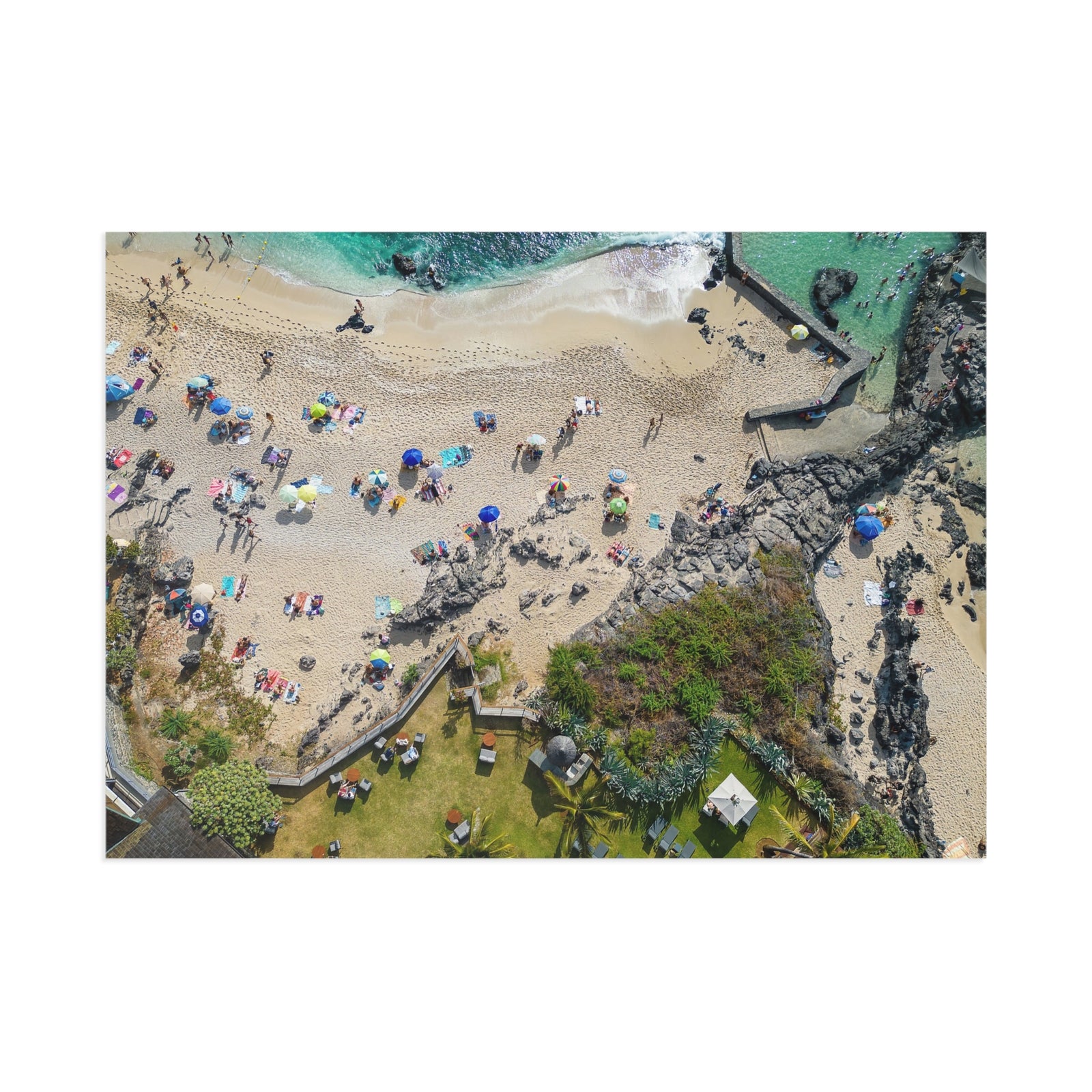 Cove from Above — Fine Art Postcard