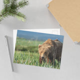 Grazing the Sedge Flats — Fine Art Postcard
