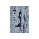 Orca Pod — Fine Art Postcard