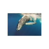 Beneath the Surface — Fine Art Postcard