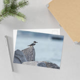 Belted Kingfisher — Fine Art Postcard