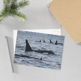 Orca Pod — Fine Art Postcard