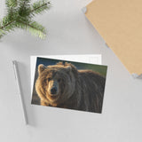 Golden Hour Grizzly — Fine Art Postcard