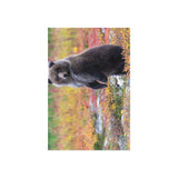 Standing Watch — Fine Art Postcard