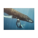 Mother and Calf — Fine Art Postcard