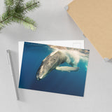 Beneath the Surface — Fine Art Postcard