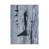 Orca Pod — Fine Art Postcard