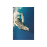 Beneath the Surface — Fine Art Postcard