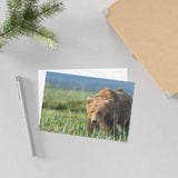Grazing the Sedge Flats — Fine Art Postcard