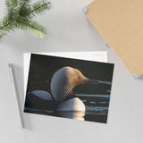 Pacific Loon — Fine Art Postcard