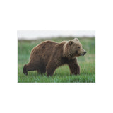 Through the Meadow — Fine Art Postcard