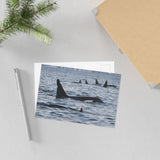 Orca Pod — Fine Art Postcard