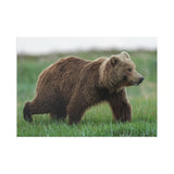 Through the Meadow — Fine Art Postcard