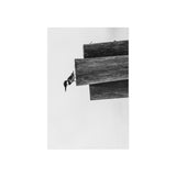Kingfisher in Black and White — Fine Art Postcard