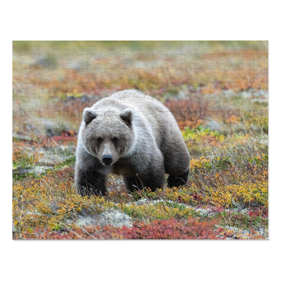 Autumn Tundra Grizzly — Jigsaw Puzzle