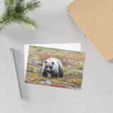 Autumn Tundra Grizzly — Fine Art Postcard