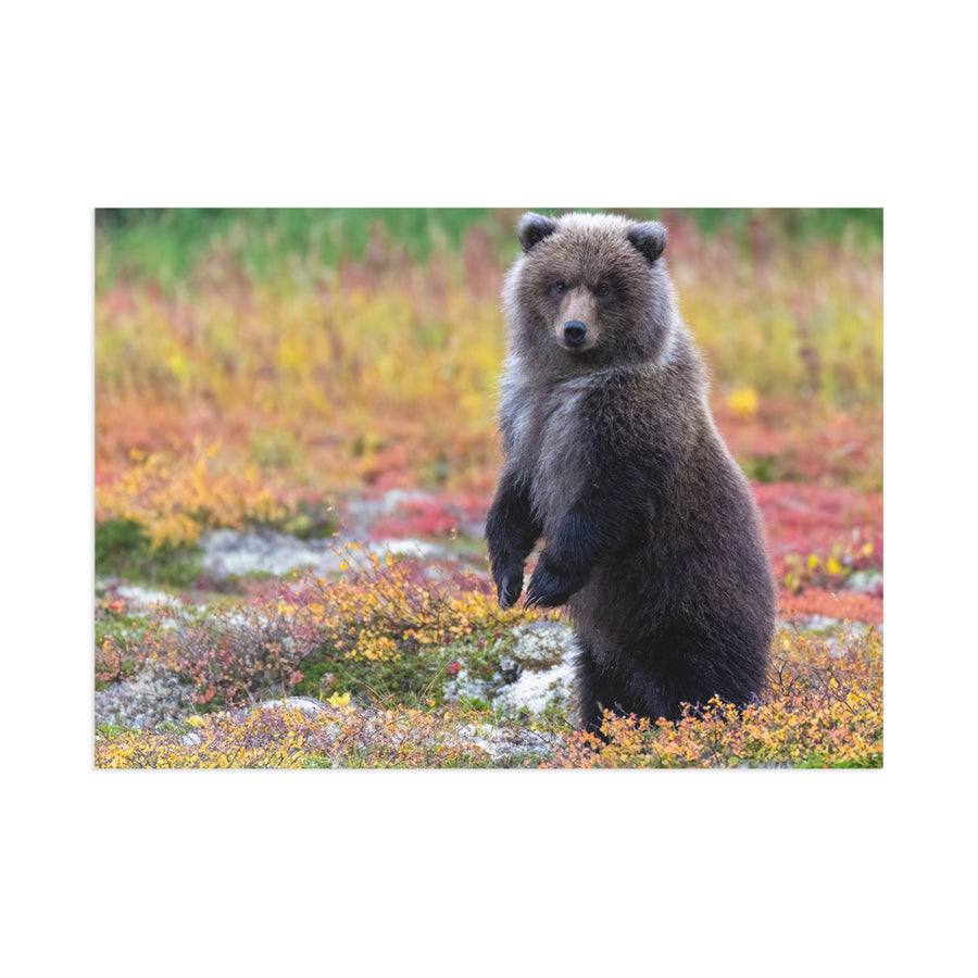 Standing Watch — Fine Art Postcard