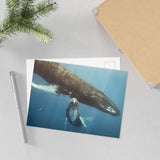 Mother and Calf — Fine Art Postcard