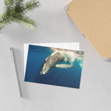 Beneath the Surface — Fine Art Postcard