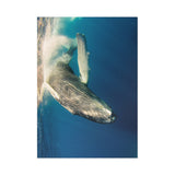 Beneath the Surface — Fine Art Postcard