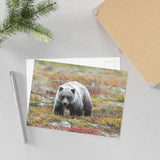 Autumn Tundra Grizzly — Fine Art Postcard