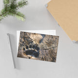 Fresh Tracks — Fine Art Postcard