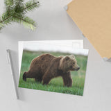 Through the Meadow — Fine Art Postcard