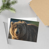 Golden Hour Grizzly — Fine Art Postcard