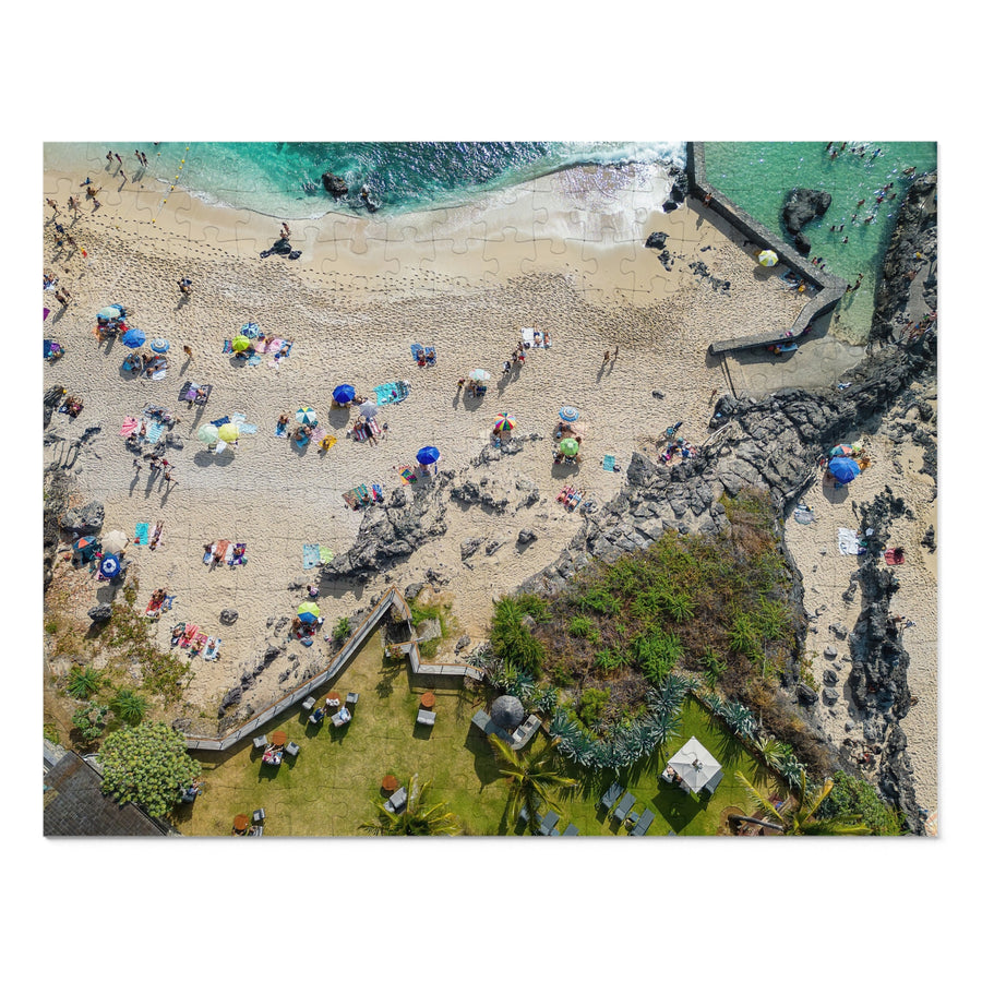 Cove from Above — Jigsaw Puzzle