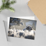 Bison in Frost — Fine Art Postcard
