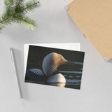 Pacific Loon — Fine Art Postcard