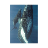 Side by Side — Fine Art Postcard