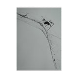 The Web Weaver — Fine Art Postcard