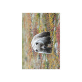 Autumn Tundra Grizzly — Fine Art Postcard