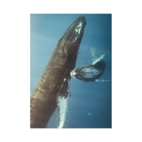 Mother and Calf — Fine Art Postcard