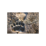 Fresh Tracks — Fine Art Postcard