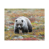 Autumn Tundra Grizzly — Jigsaw Puzzle