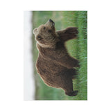 Through the Meadow — Fine Art Postcard