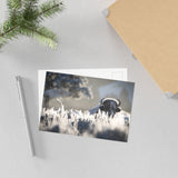 Bison in Frost — Fine Art Postcard