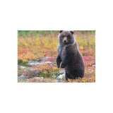 Standing Watch — Fine Art Postcard