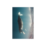 Weightless — Fine Art Postcard
